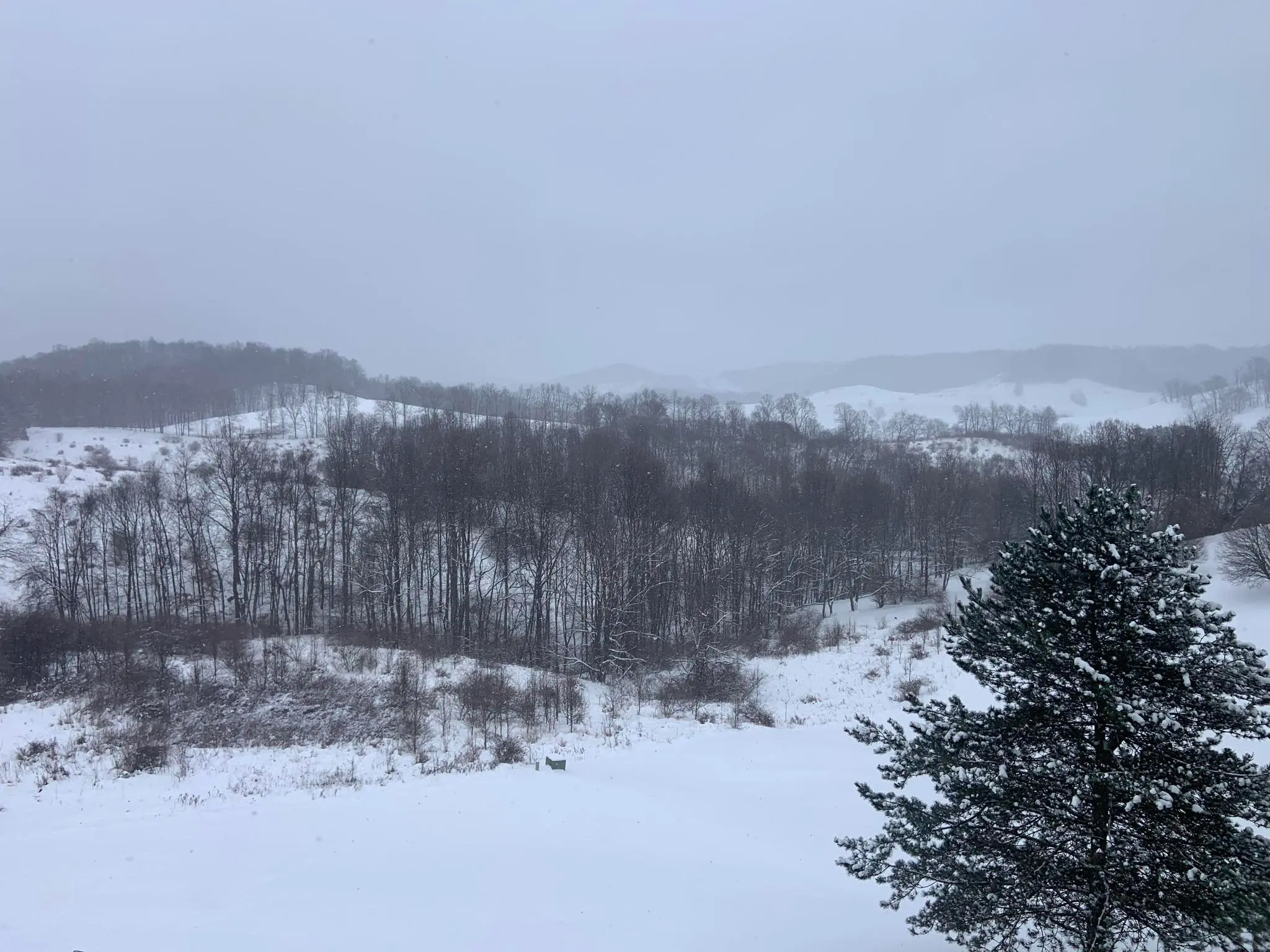 Feb. 7 Baseball and Softball Rules Clinic and Interpreter’s Meeting Canceled